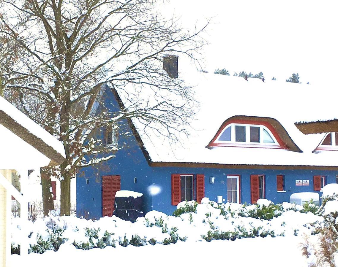 Strandhaus Lucky, Sauna, Garten, Kamin, Strandnah Glowe Exterior foto
